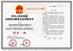 深圳教育咨詢服務(wù) 專業(yè)導(dǎo)航，助力學(xué)子與家庭的教育成長(zhǎng)之路